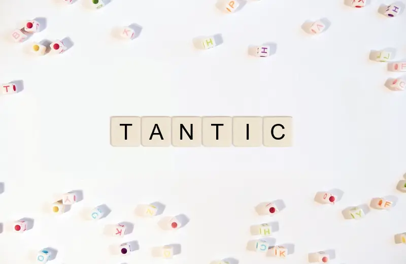 All words from letters TANTIC that can be arranged